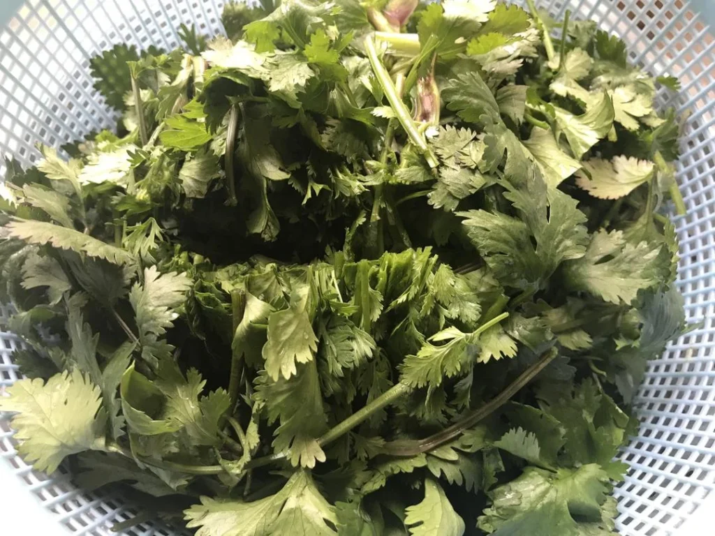 Cilantro Beef Stir-fry