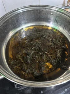 Capillary Wormwood and Crucian Carp Soup