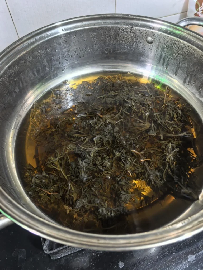 Capillary Wormwood and Crucian Carp Soup