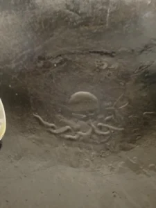 Carrot, Yam & Beef Congee