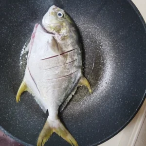Braised Golden Pomfret