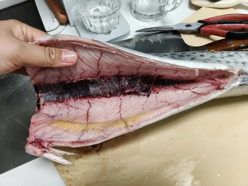 Spanish Mackerel Dumplings — From Sea to Table