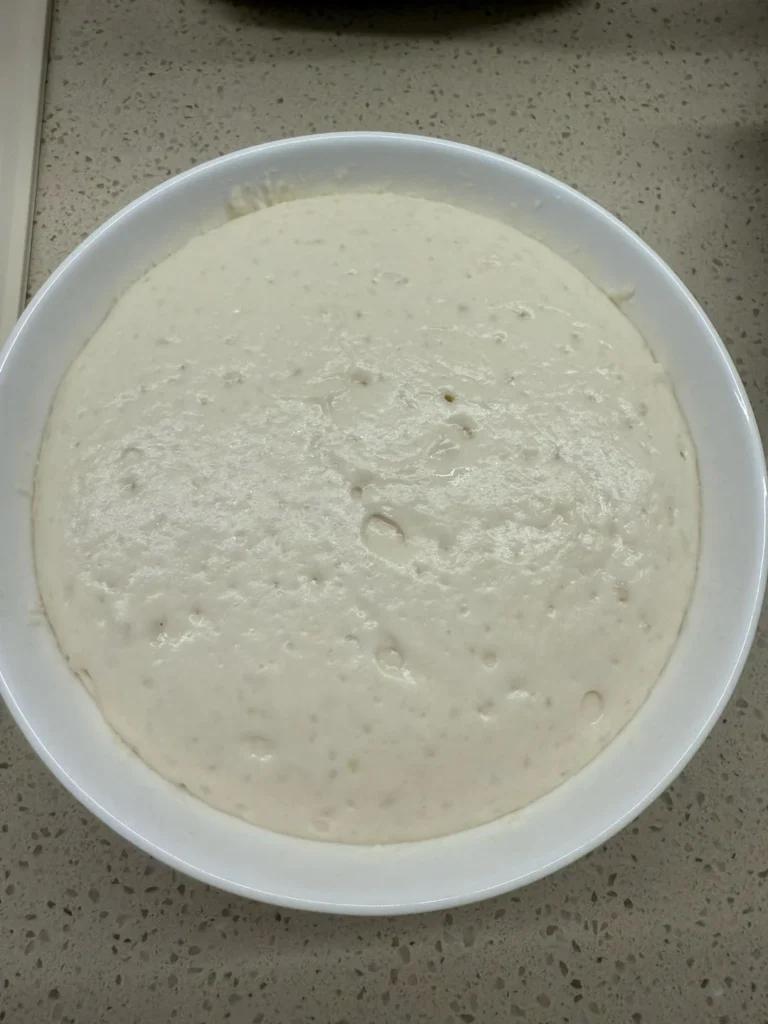 Plain Yeasted Flatbread