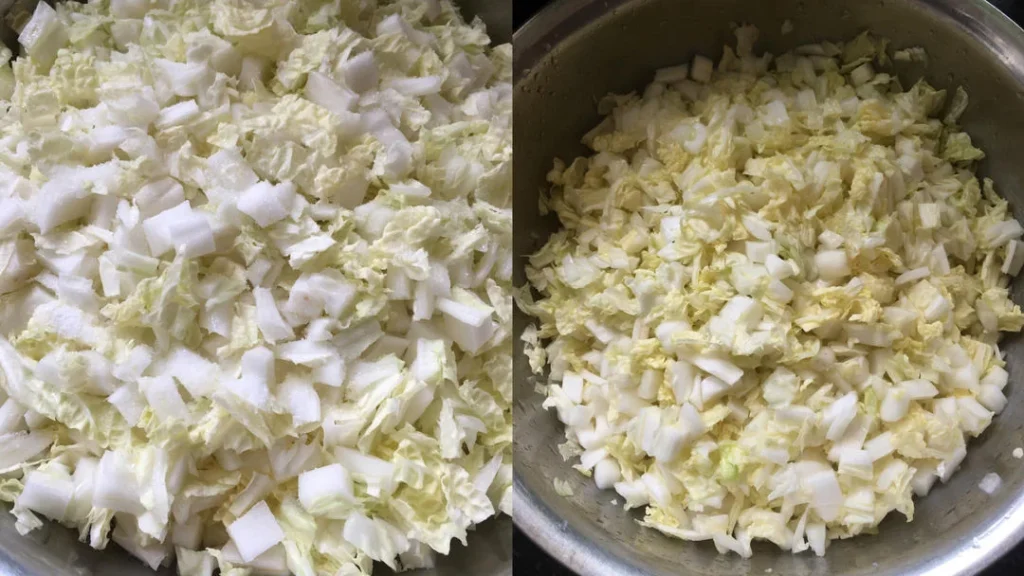 Pork and Napa Cabbage Wontons