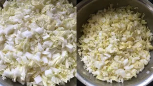 Pork and Napa Cabbage Wontons