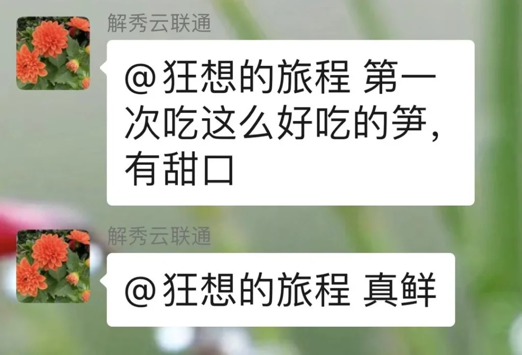 Spring Bamboo Shoots: Storage and Cooking Guide