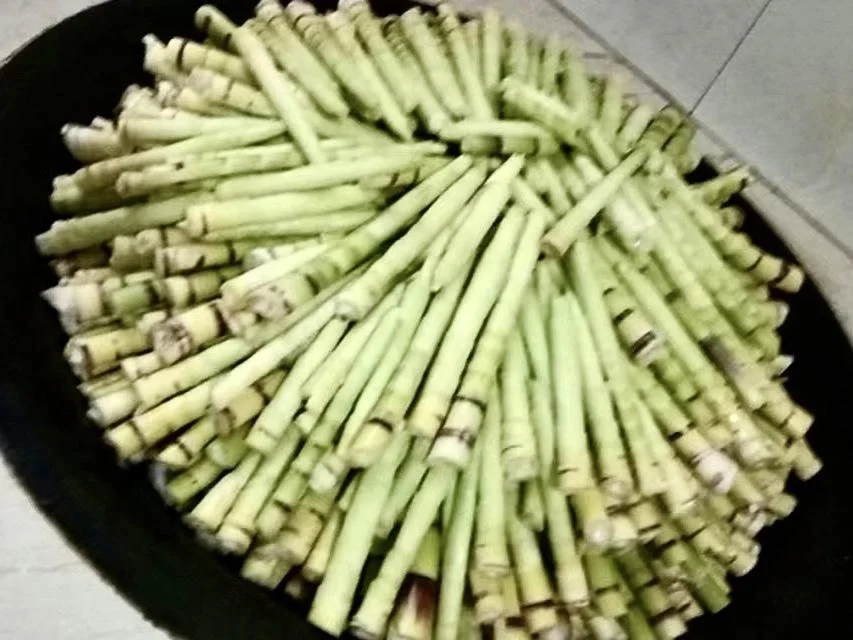 Spring Bamboo Shoots: Storage and Cooking Guide