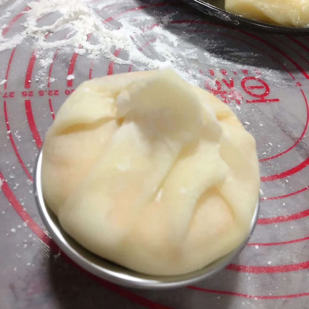 Mango Cake Mochi Snow Skin Mochi