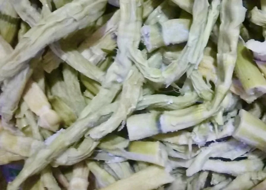 Spring Bamboo Shoots: Storage and Cooking Guide