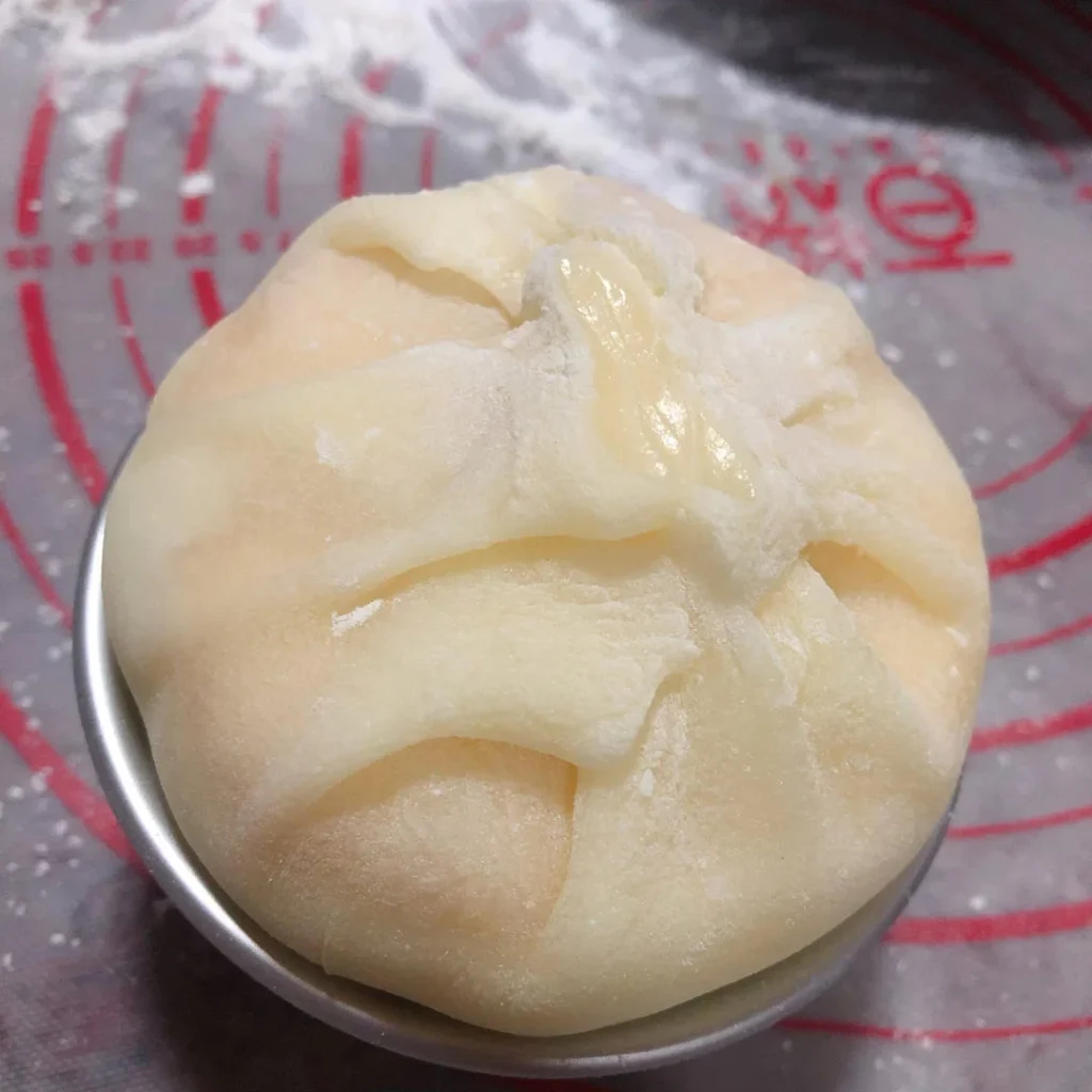 Mango Cake Mochi Snow Skin Mochi