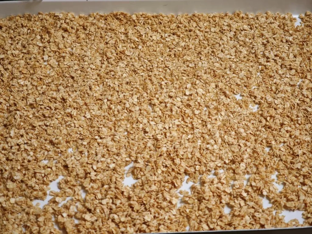 Crispy Chocolate Oat Sandwich Cookies with Cream Cheese Filling