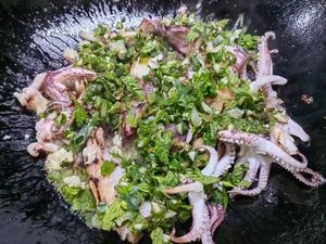 Mint and Herb Squid
