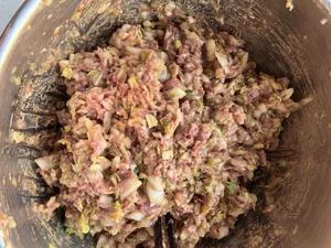 Pork and Cabbage Dumplings