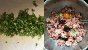 Pork and Napa Cabbage Wontons