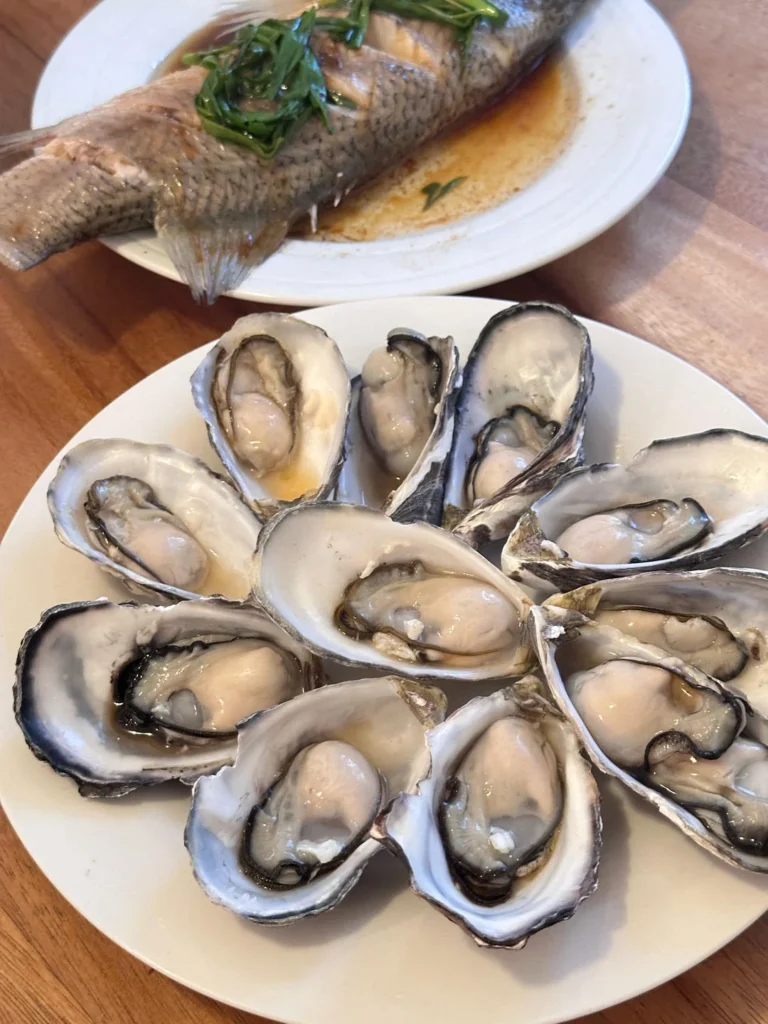 49 Home-Style Dishes Collection