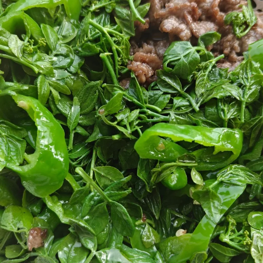 Stir-fried Beef with Sichuan Peppercorn Shoots
