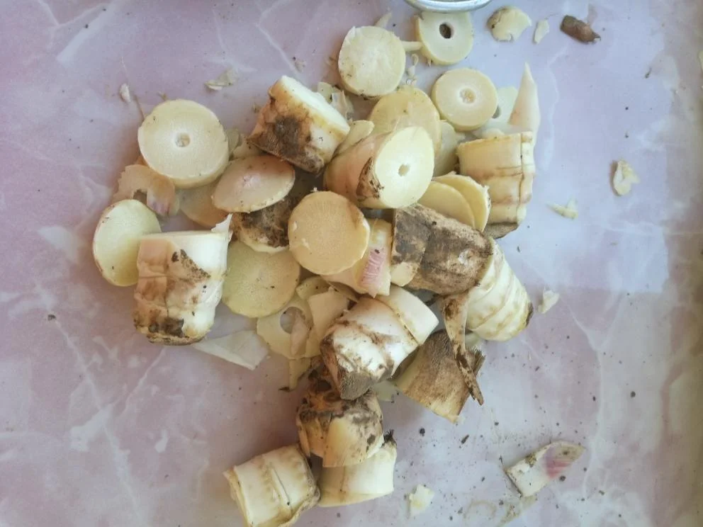 Spring Bamboo Shoots Preparation and Cooking