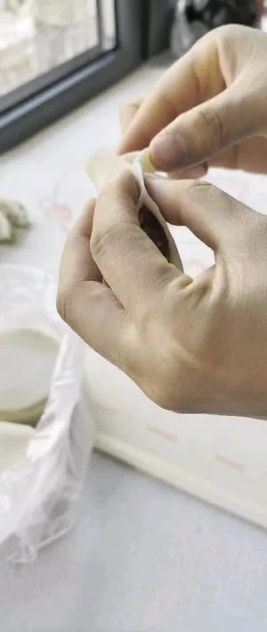 Pork and Cabbage Dumplings