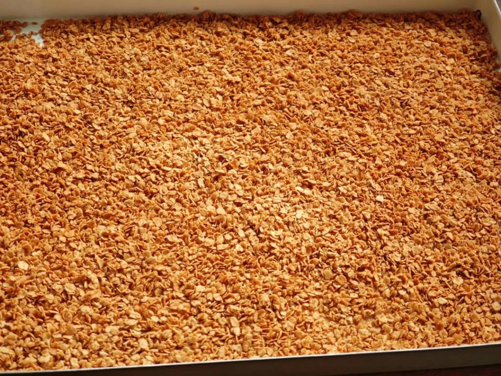 Crispy Chocolate Oat Sandwich Cookies with Cream Cheese Filling