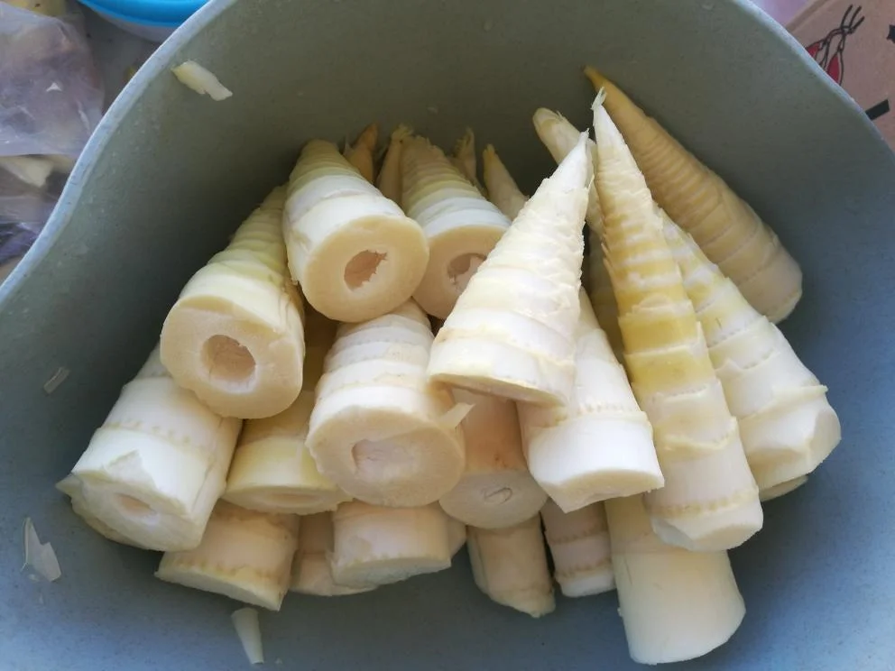 Spring Bamboo Shoots Preparation and Cooking