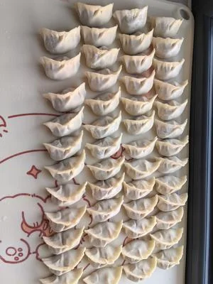 Pork and Cabbage Dumplings