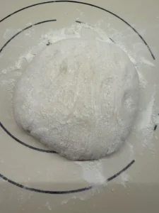 Plain Yeasted Flatbread