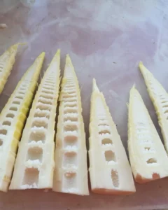 Spring Bamboo Shoots Preparation and Cooking