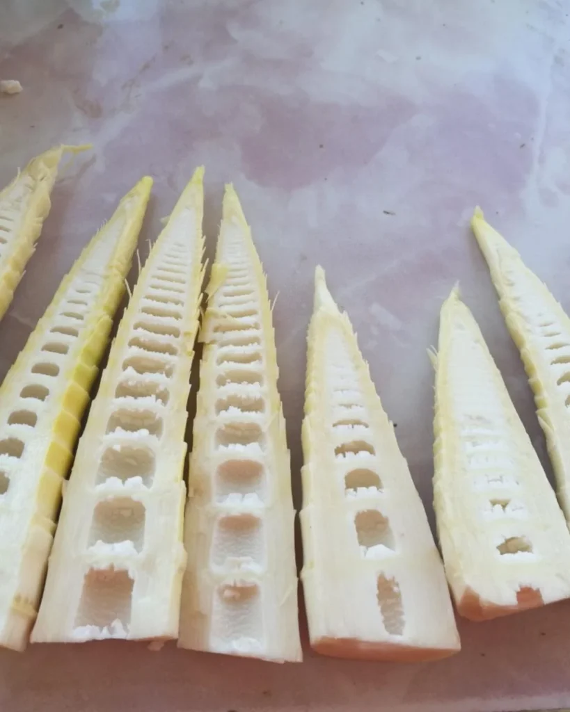 Spring Bamboo Shoots Preparation and Cooking