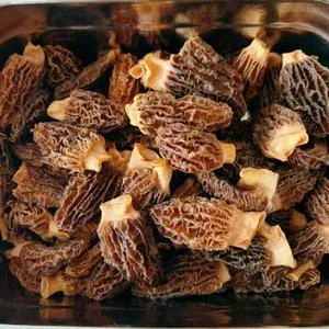 Wild Morel Mushroom & Pork Dumplings