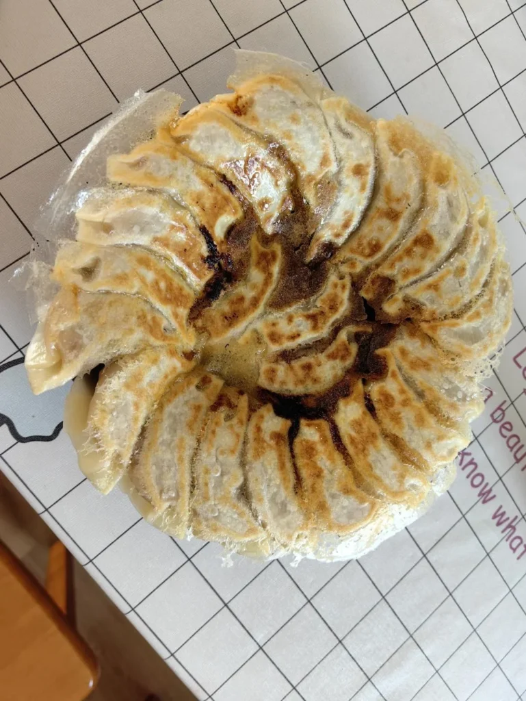 Beef and Carrot Pan-Fried Dumplings