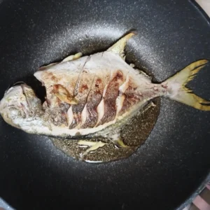 Braised Golden Pomfret