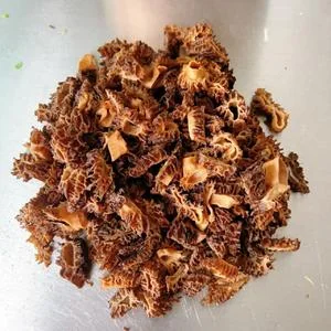 Wild Morel Mushroom & Pork Dumplings