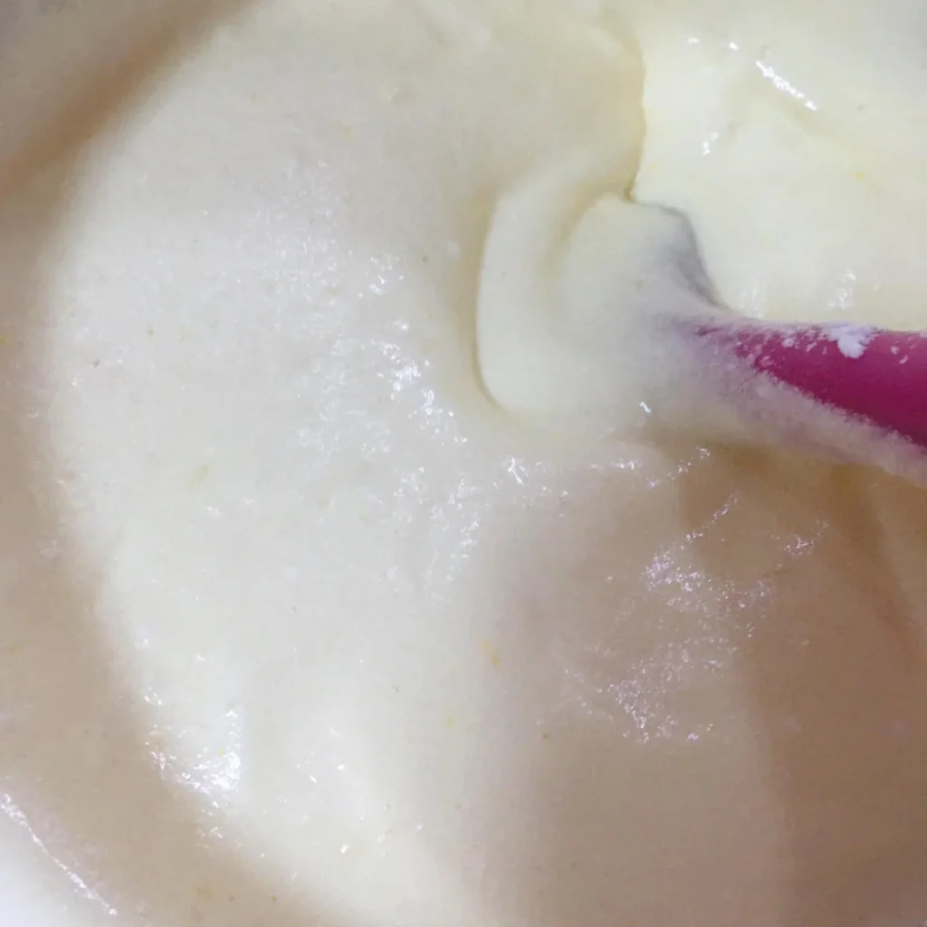 Mango Cake Mochi Snow Skin Mochi