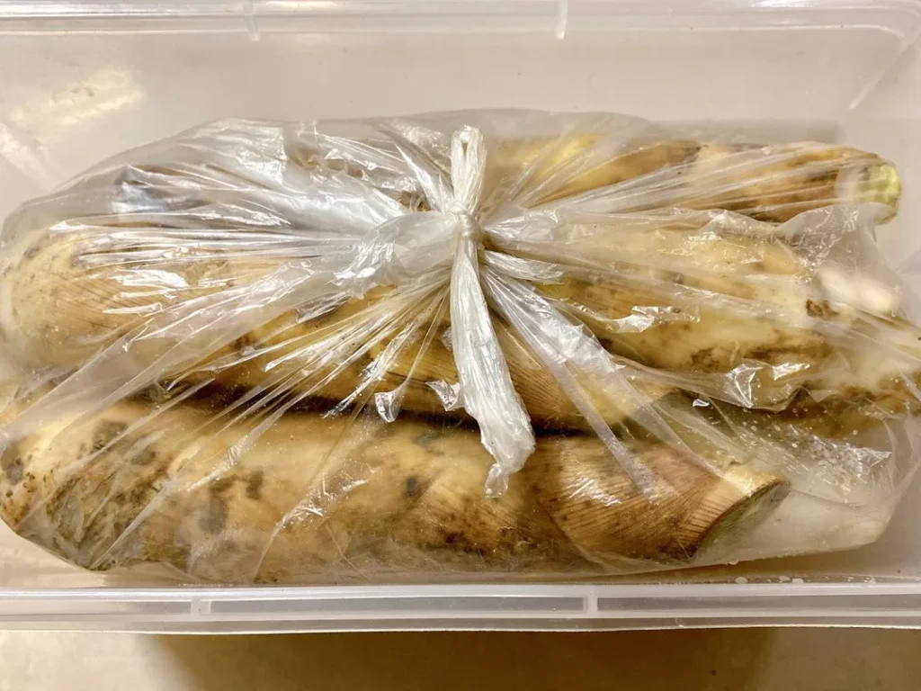 Spring Bamboo Shoots: Storage and Cooking Guide