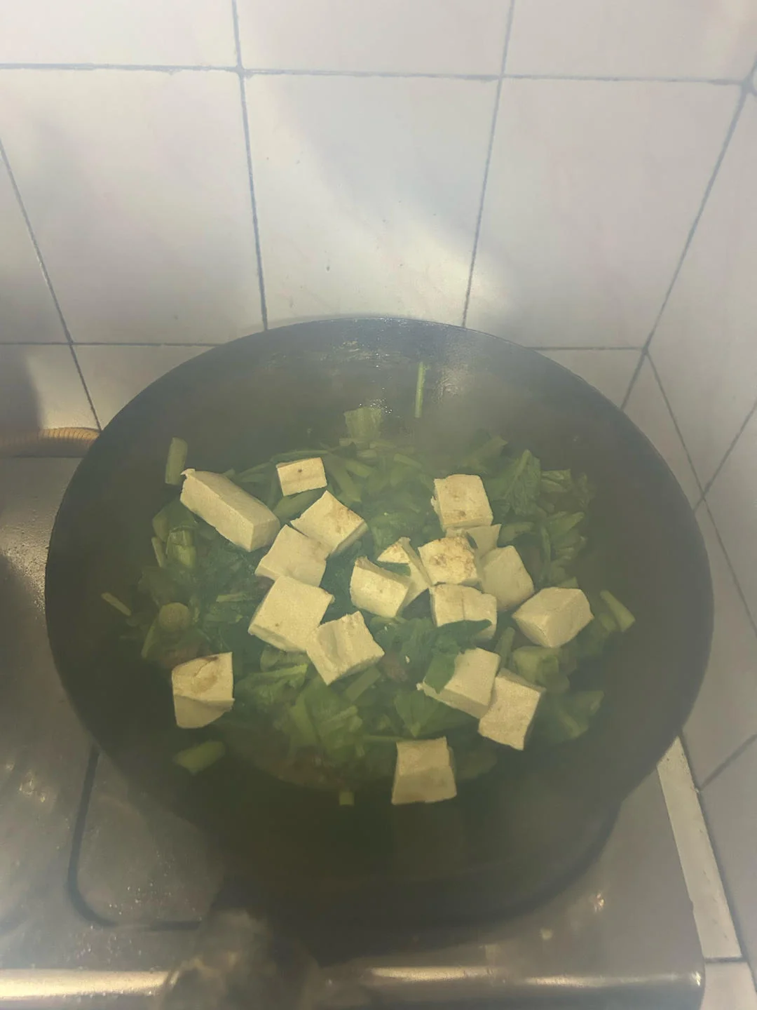 Braised Tofu with Beef and Baby Bok Choy