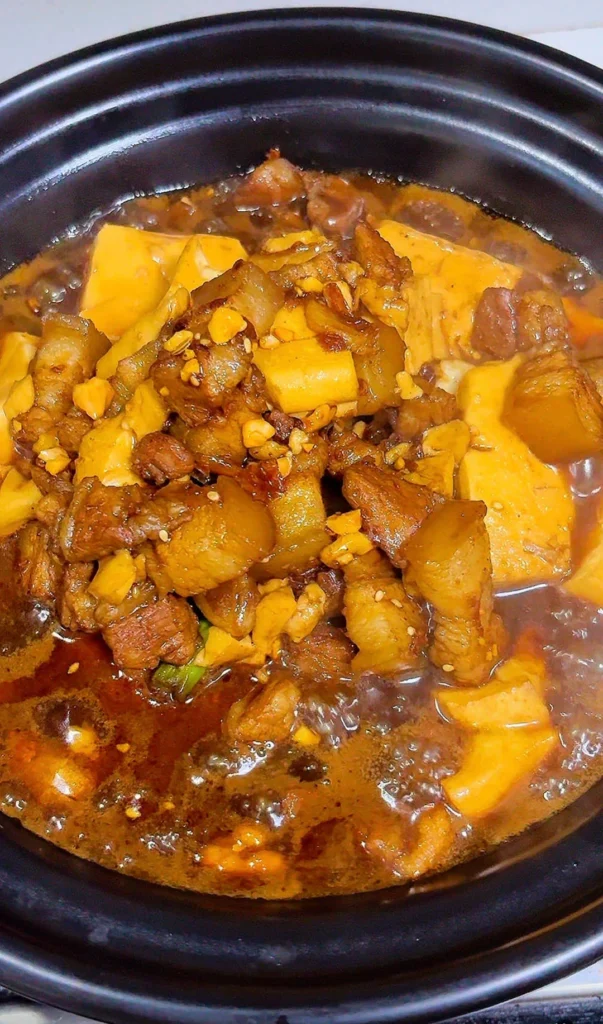 Braised Pork Belly and Tofu Clay Pot