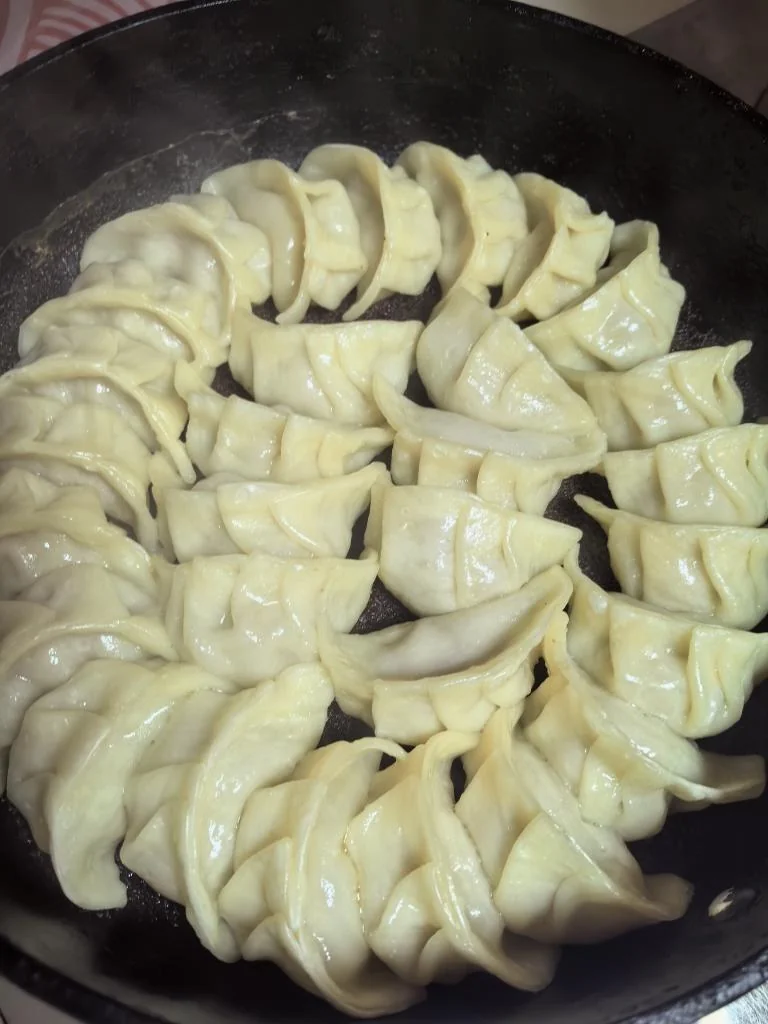 Pan-Fried Pork and Shrimp Dumplings