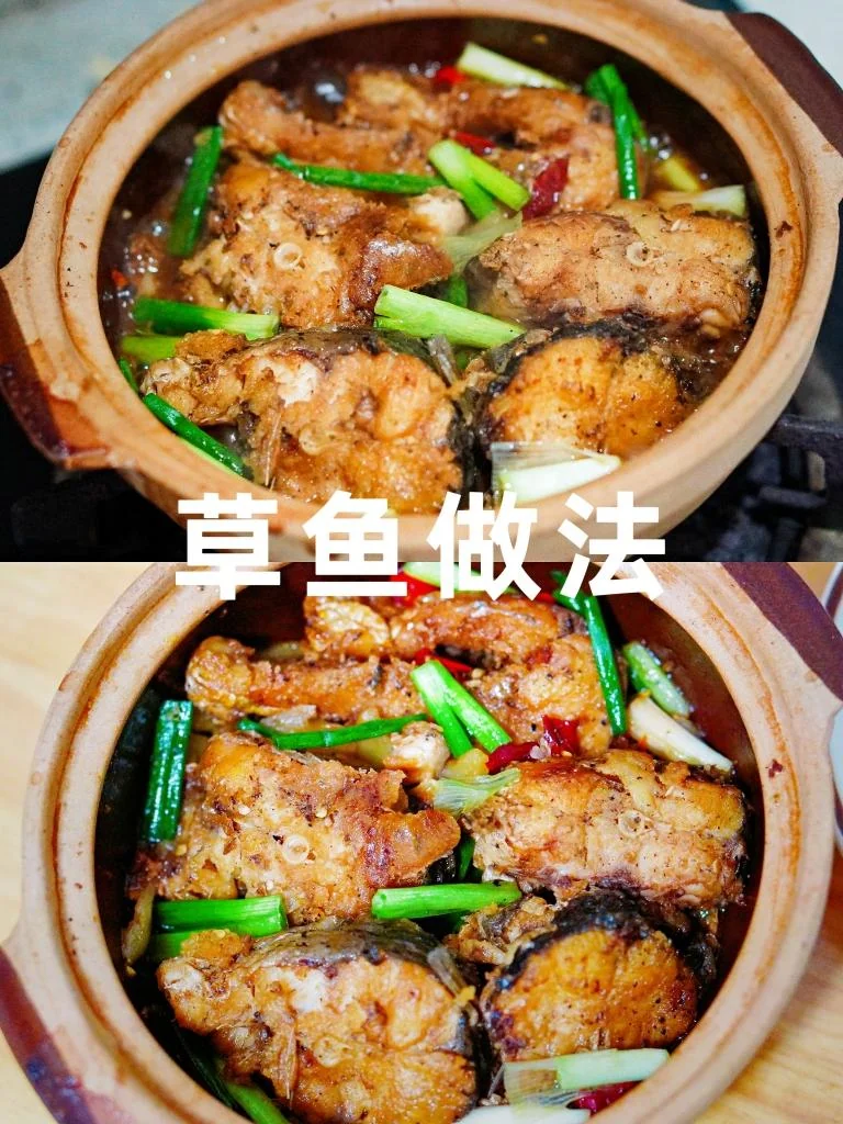 Braised Grass Carp in Beer Sauce
