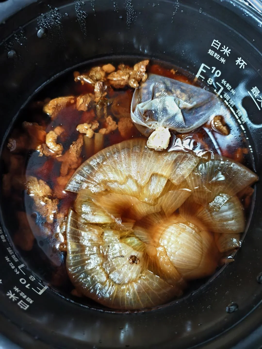 Onion Braised Beef