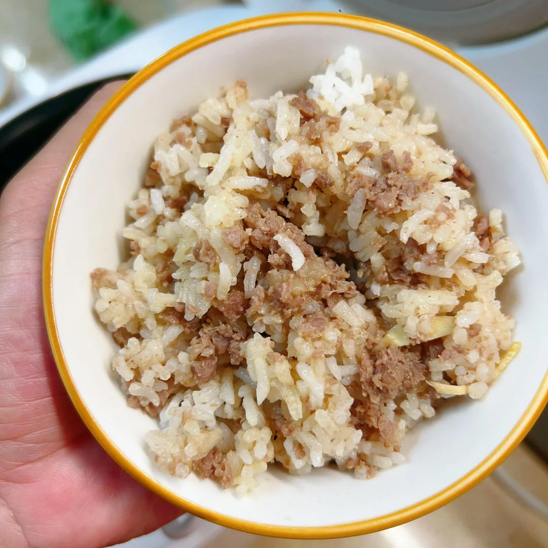 Easy & Delicious Minced Beef Rice