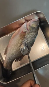 Steamed Sea Bass (Cunlu Style)