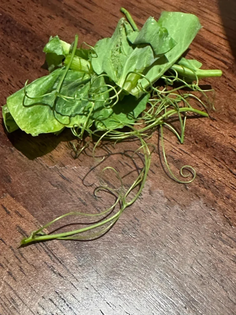 Garlic Sautéed Pea Shoots (Quick & Easy)