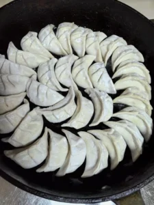Pan-Fried Pork and Shrimp Dumplings