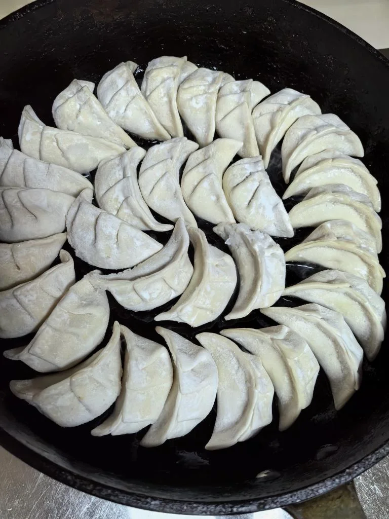 Pan-Fried Pork and Shrimp Dumplings