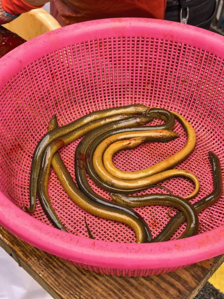 Mashed Chili Eel