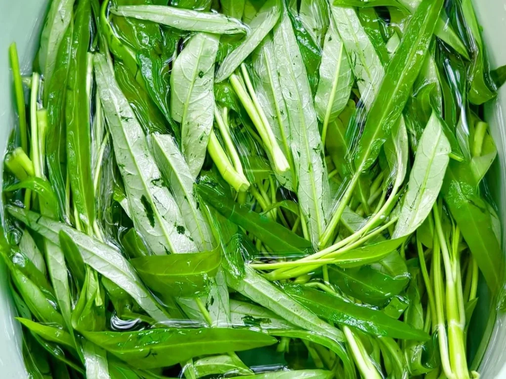 Garlic Water Spinach — Crisp, Fresh, and Perfect for Summer