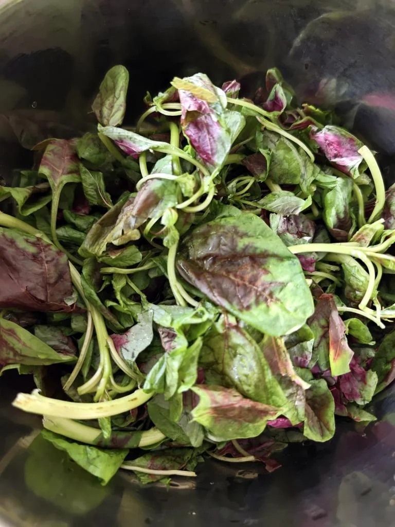 100 Home-Style Dishes: Amaranth in Superior Broth