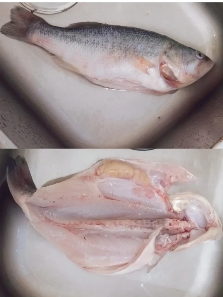 Water-Poached Sea Bass