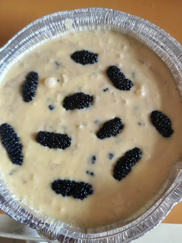 Mulberry Basque Cheesecake (Air Fryer Version) – Overnight Breakfast for Two