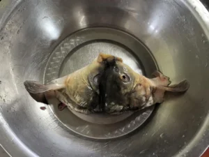 Authentic Squirrel Fish (Song Shu Yu) | The Ultimate Banquet Showstopper